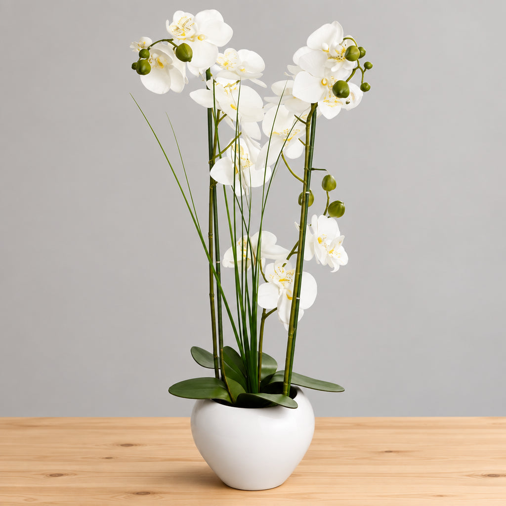 Kunstorchidee in witte keramieken bloempot – zijden Phalaenopsis - 53 cm hoog