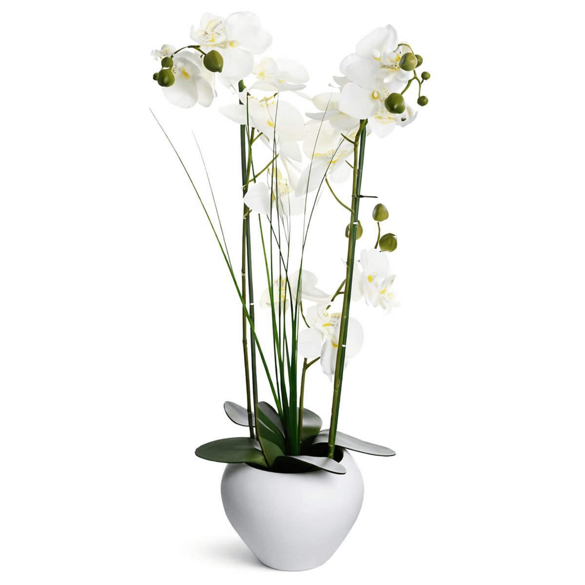 Kunstorchidee in witte keramieken bloempot – zijden Phalaenopsis - 53 cm hoog