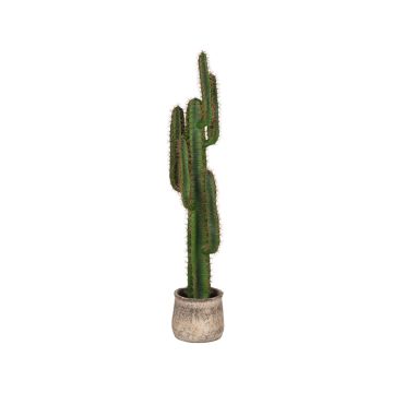 Akoya: cactus groen kunststof 130 cm